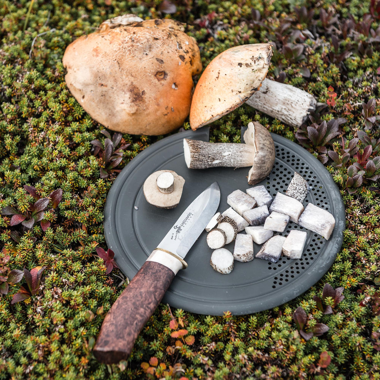 Trangia Multi-Disc for Stove 25's