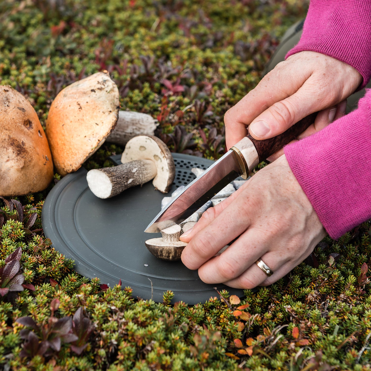 Trangia Multi-Disc for Stove 25's