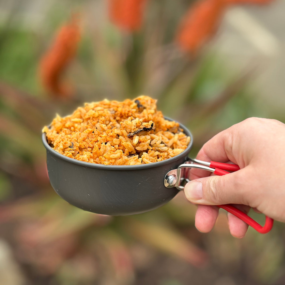 Hungry Hiker Dehydrated Butter Chicken, 400g