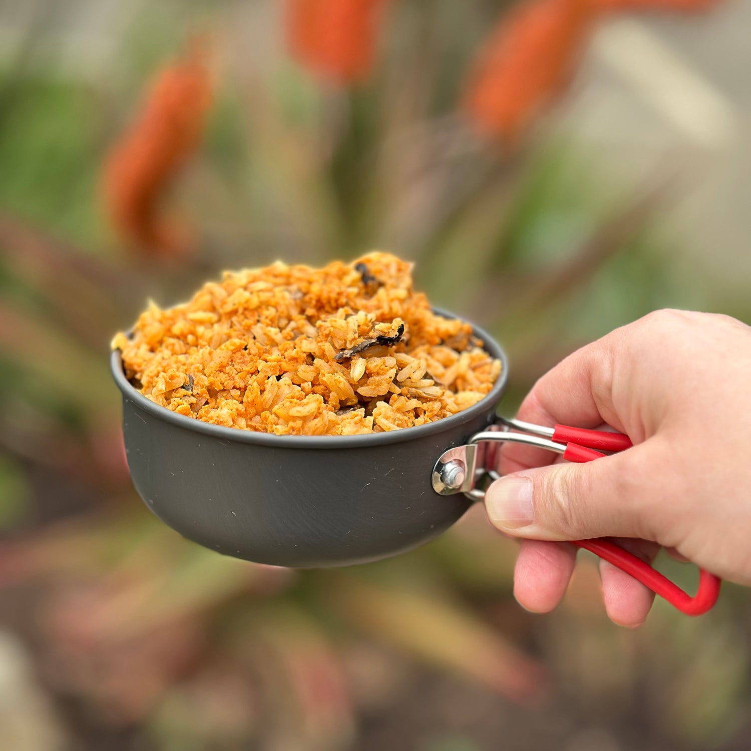 Hungry Hiker Dehydrated Butter Chicken, 400g