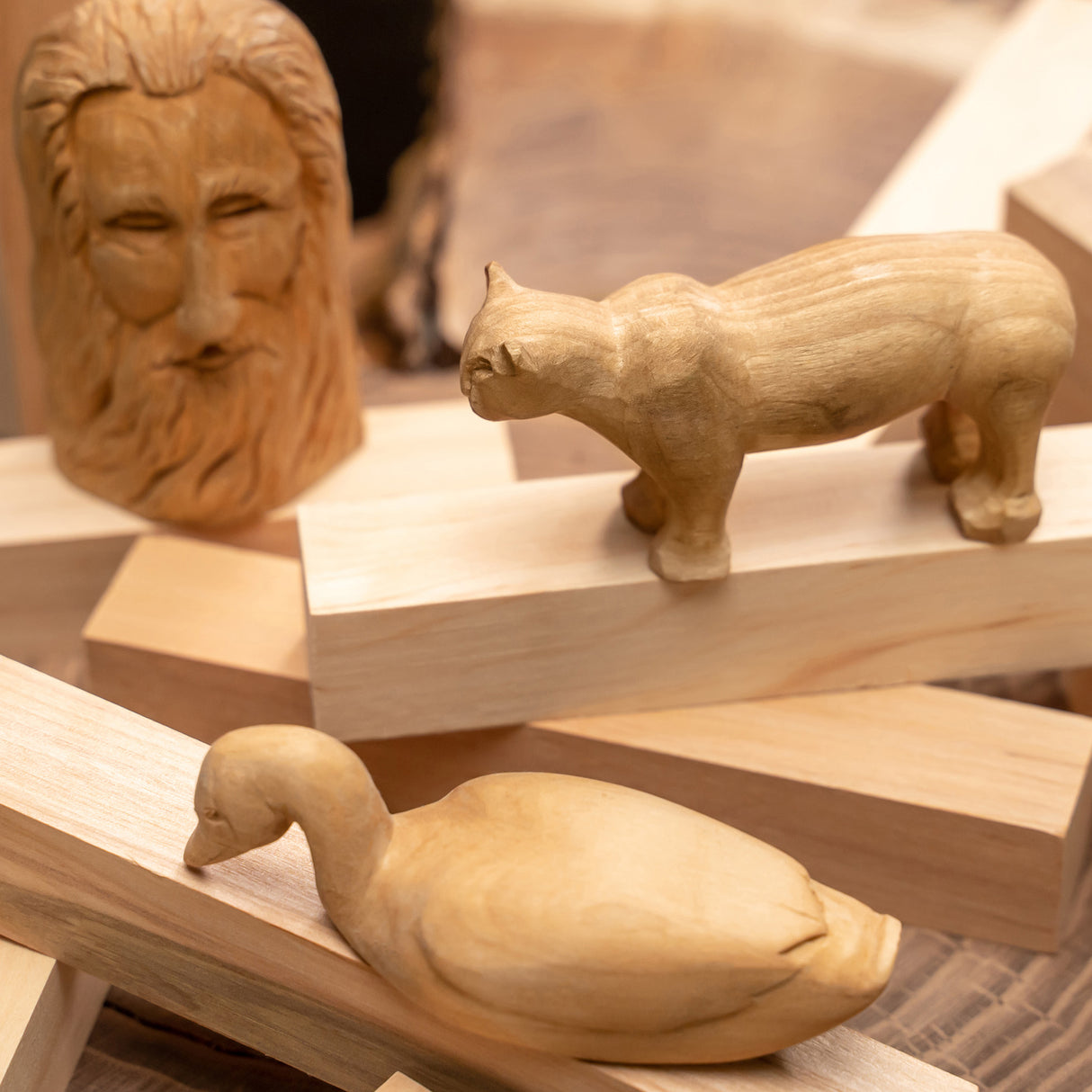 BeaverCraft Alder Carving Blocks, Set of 10