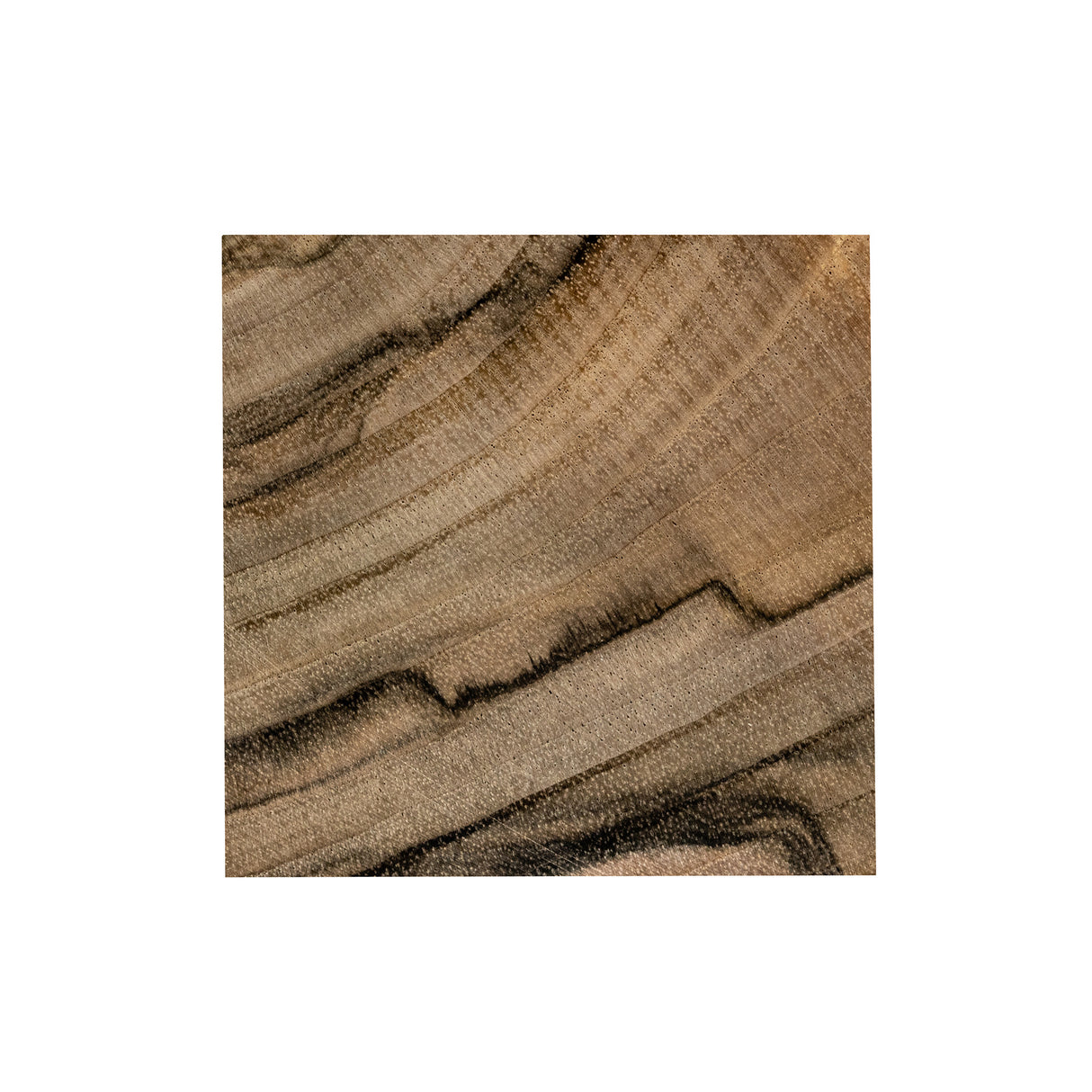 BeaverCraft Walnut Carving Blocks, Set of 10