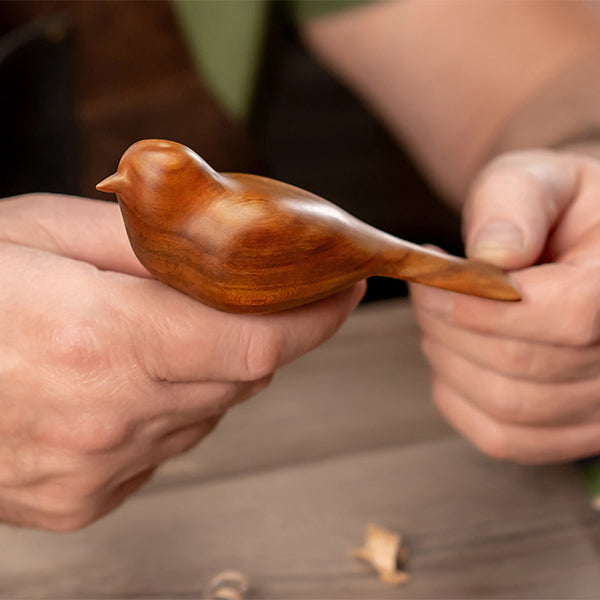 BeaverCraft Comfort Bird Carving Kit