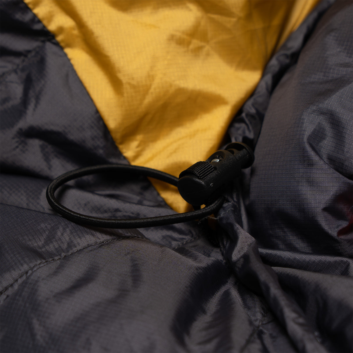 First Ascent Ice Nino Down Sleeping Bag