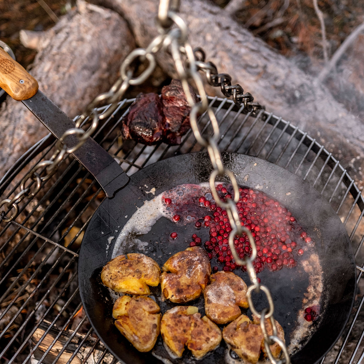 Petromax Cooking Tripod Hanging Grid