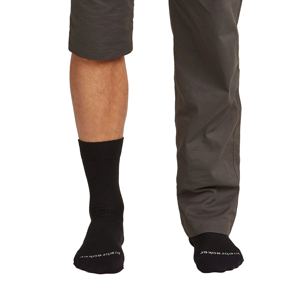 Icebreaker Men's Merino Hike Liner Crew Socks