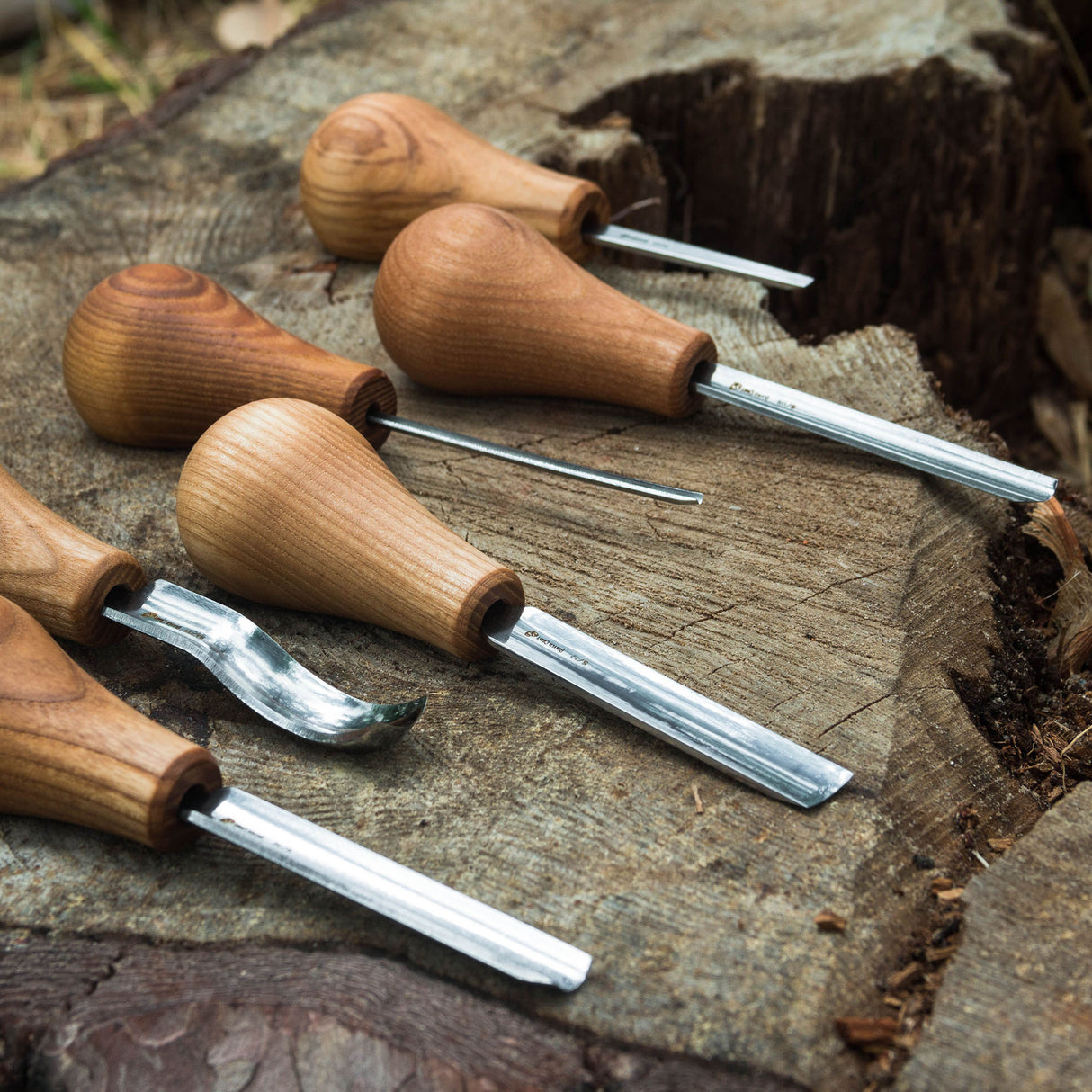 BeaverCraft 6 Piece Palm Chisel Set