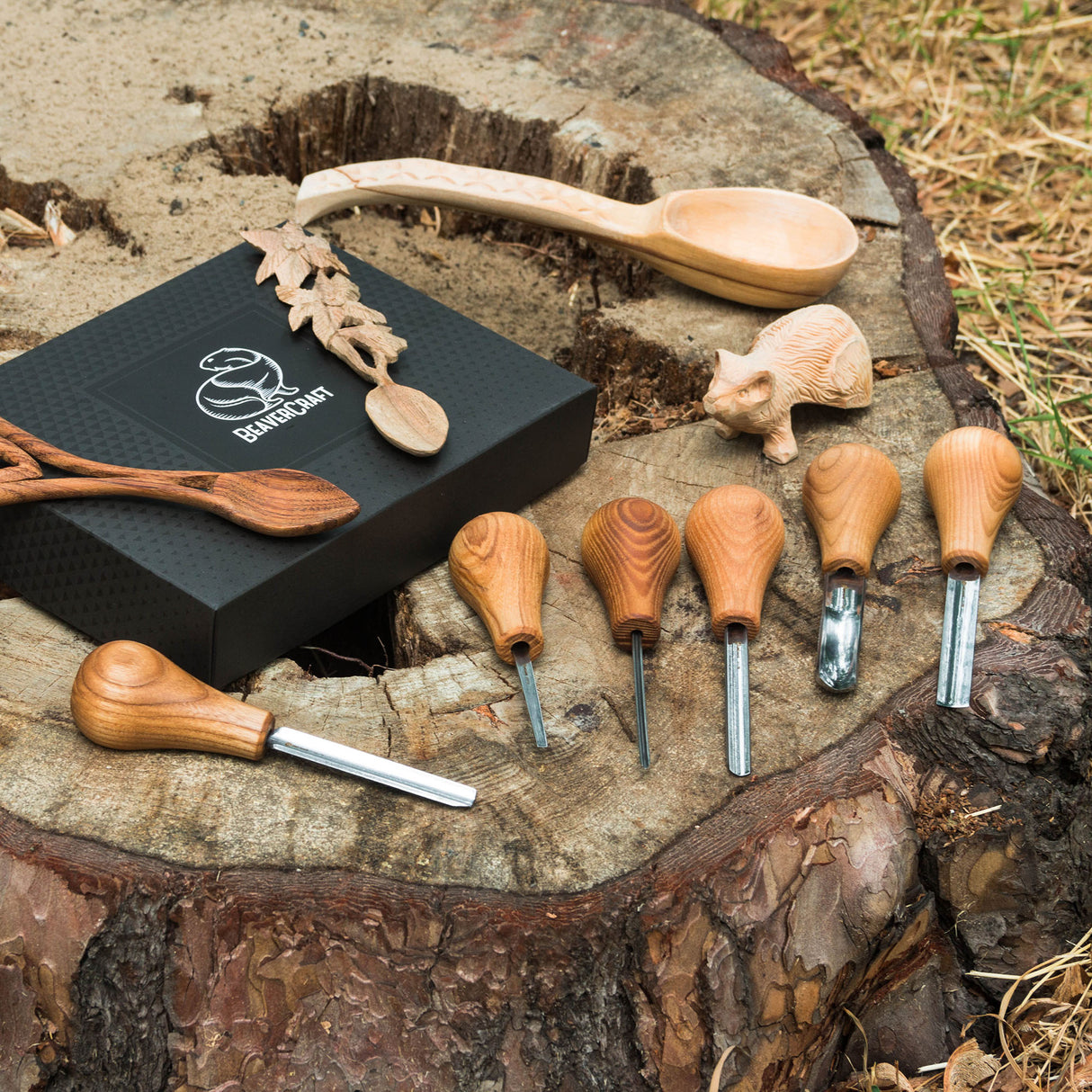 BeaverCraft 6 Piece Palm Chisel Set