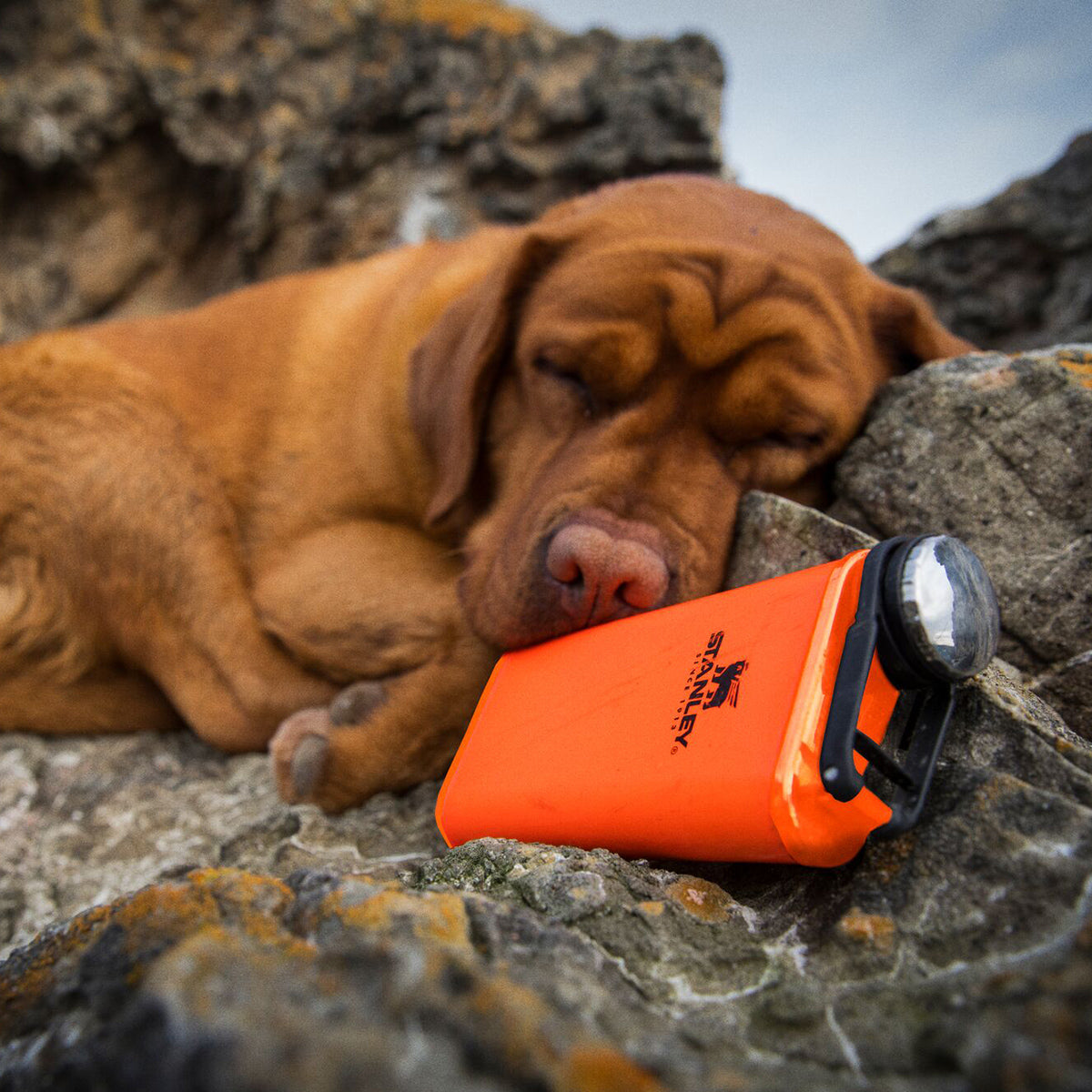 Stanley The Easy Fill Wide Mouth Flask, 230ml