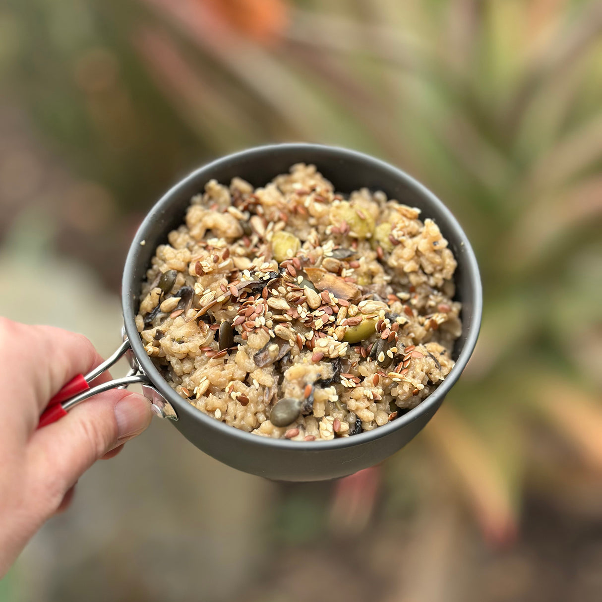 Hungry Hiker Dehydrated Miso Mushroom Risotto, 400g - Vegan