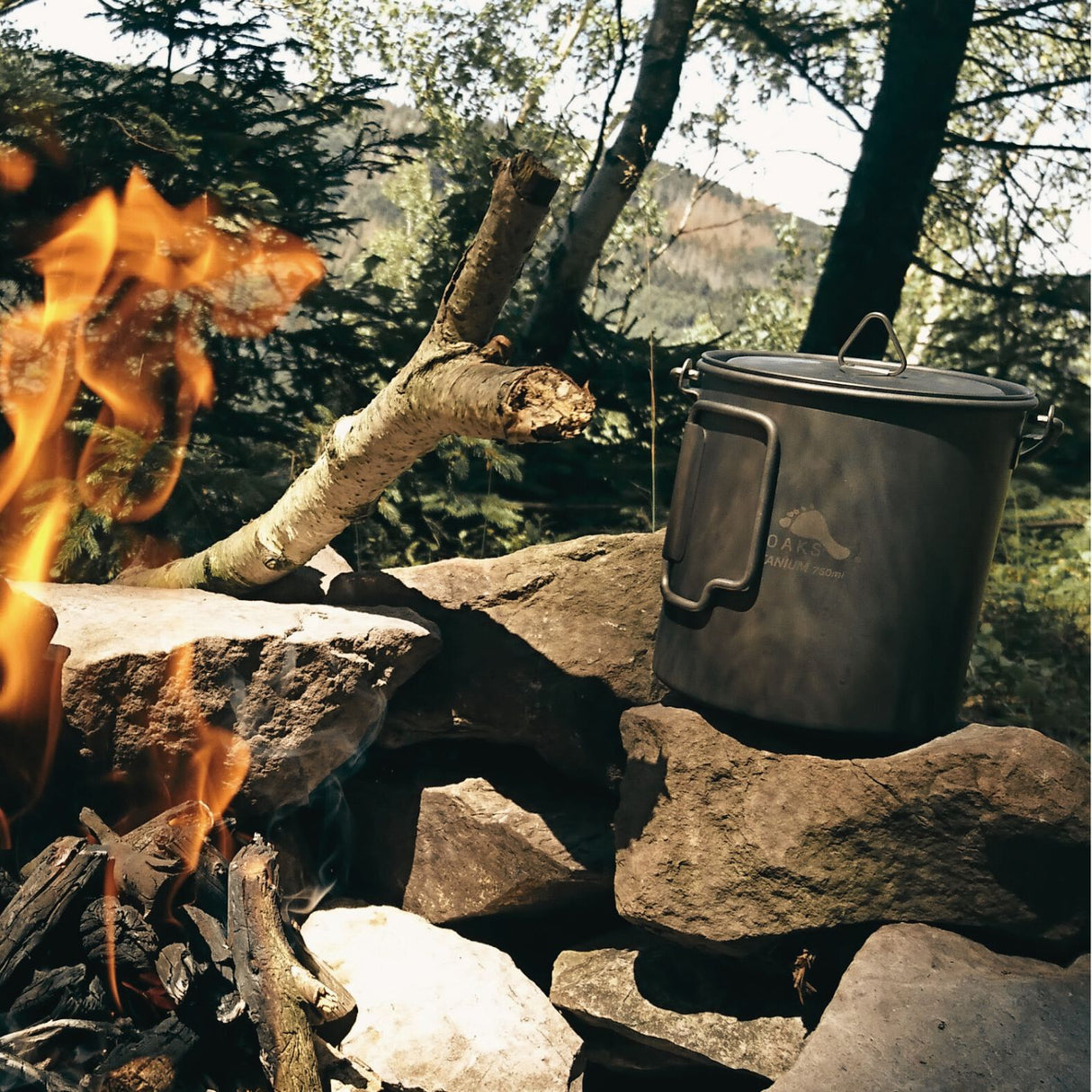 Toaks Titanium 750ml Pot, 86g