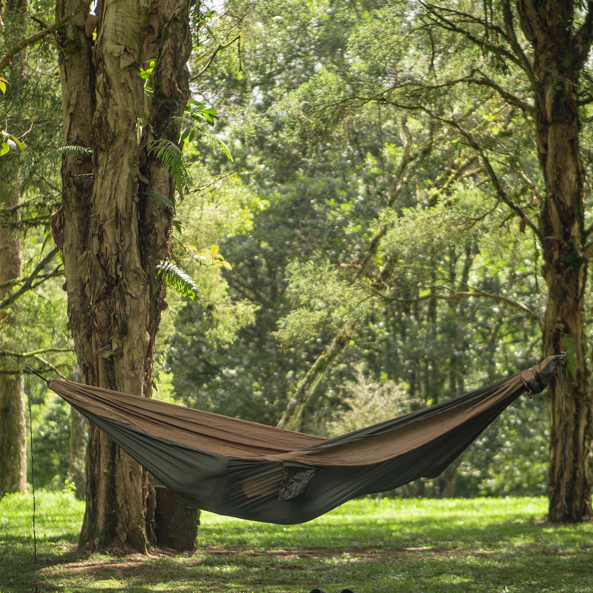 Ticket To The Moon King Hammock