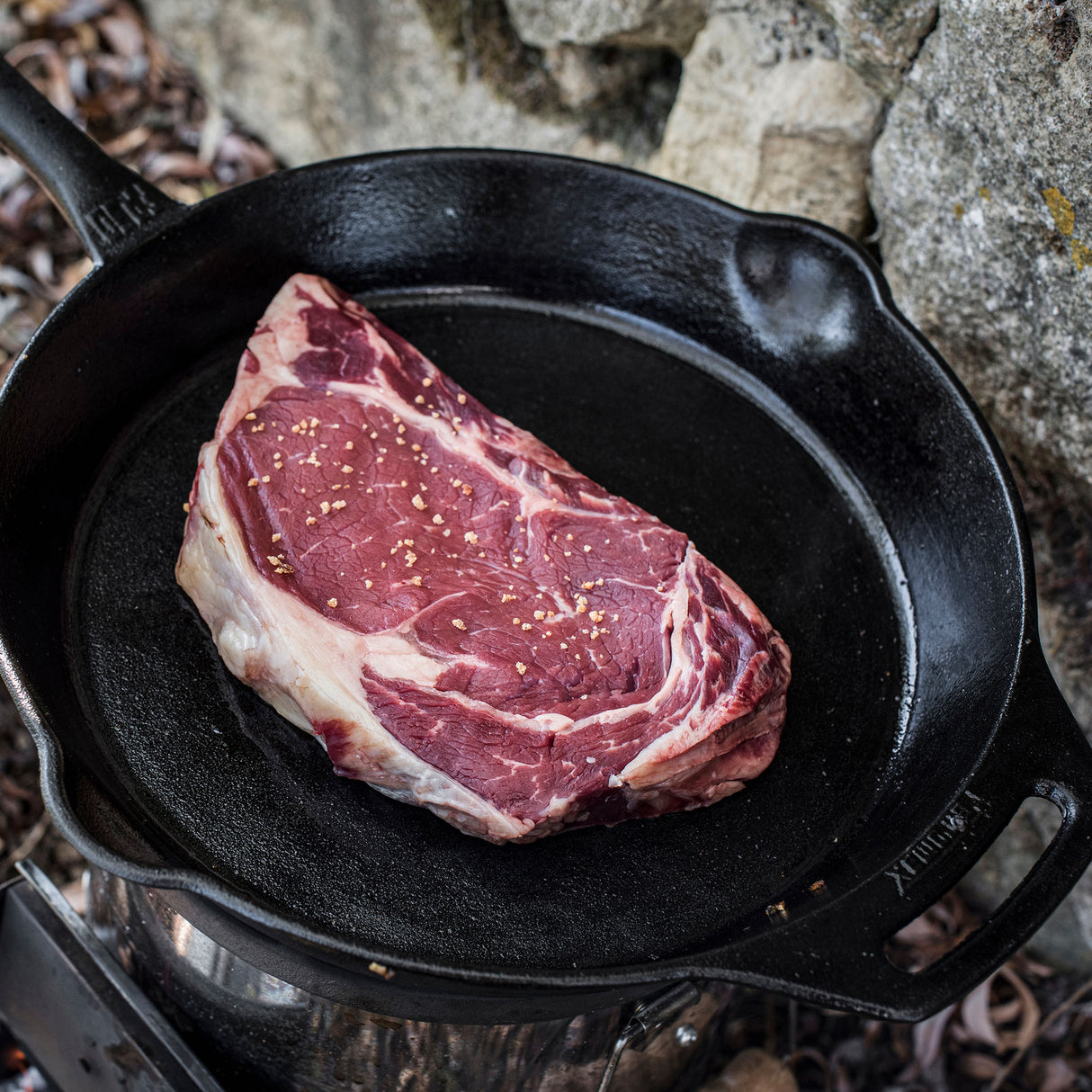 Petromax Seasoned Cast Iron Fire Skillet