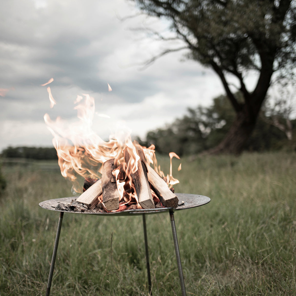 Petromax Skottel Braai & Fire Bowl