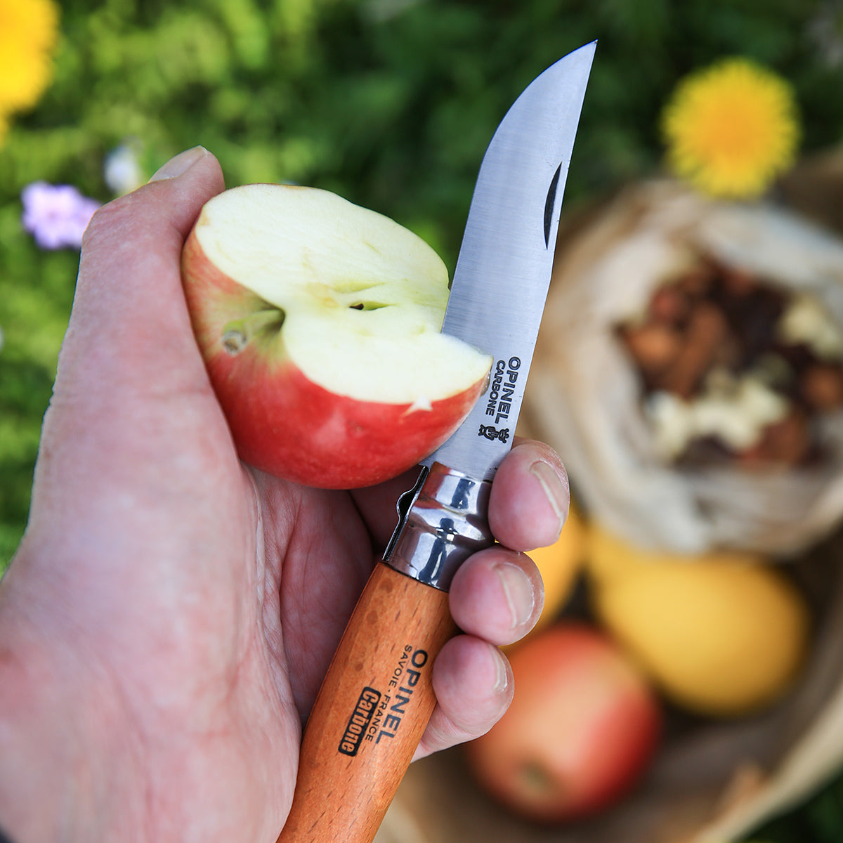 Opinel No. 8 Traditional Classic Carbon Folding Knife with Sheath & Gift Box