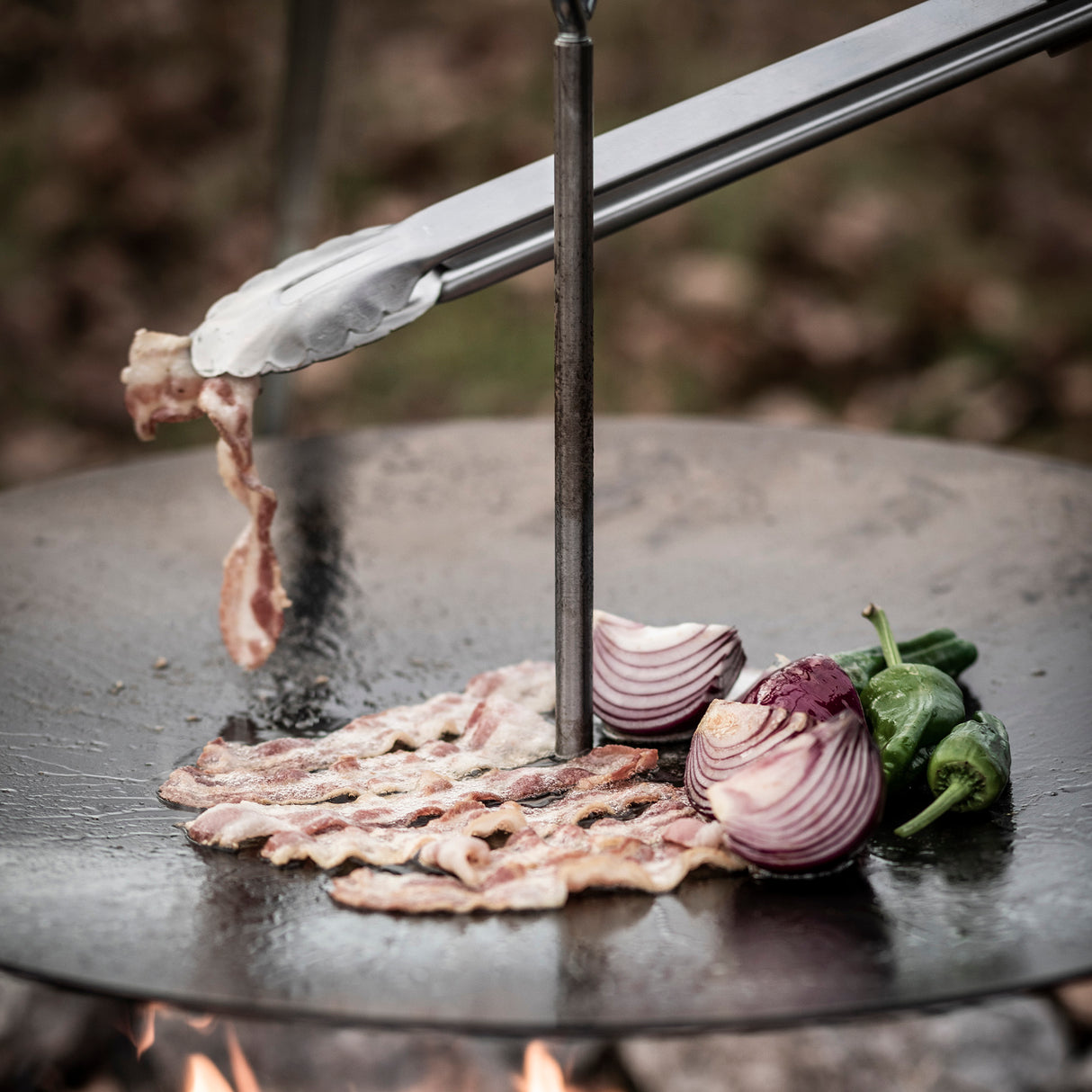 Petromax Braai & Coal Tongs