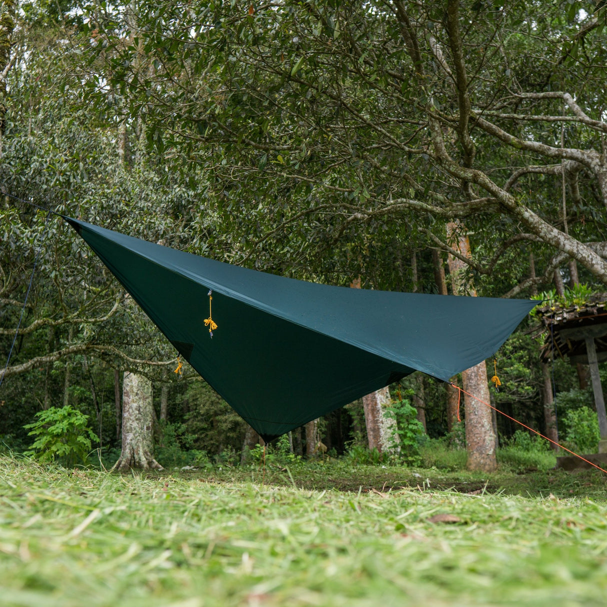 Ticket to the Moon - Moon Tarp Dark Green TTTM_TMTARP05 - Brave Hardy