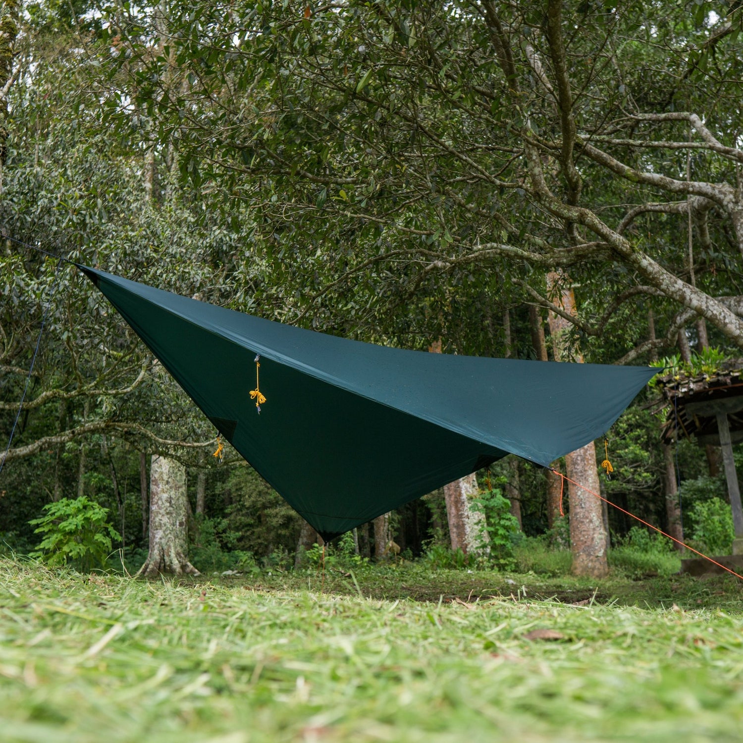 Ticket to the Moon - Moon Tarp Dark Green TTTM_TMTARP05 - Brave Hardy