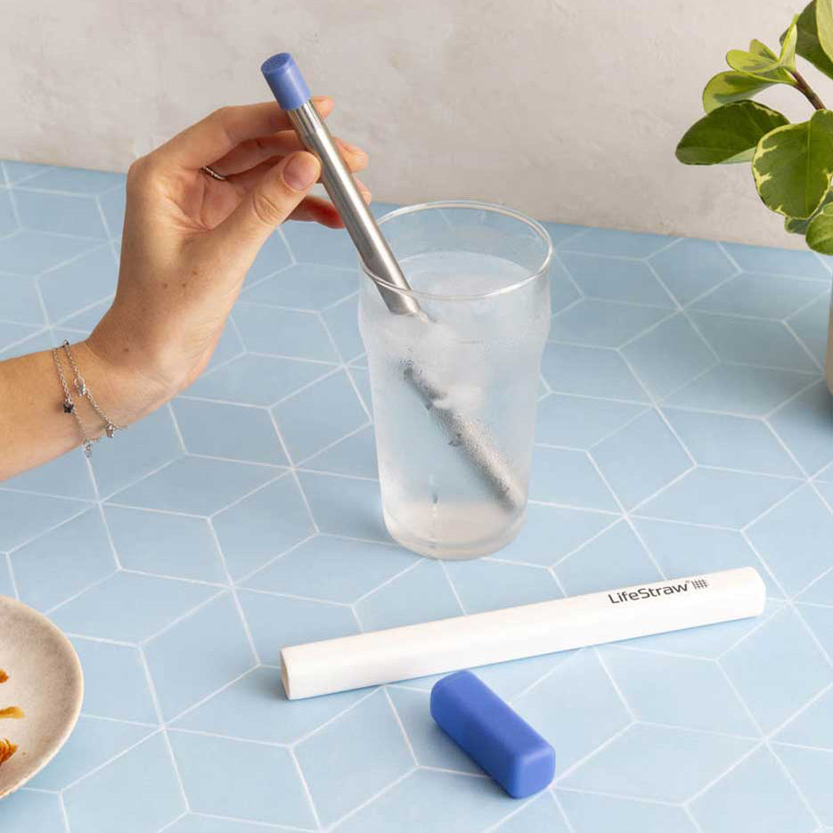LifeStraw Sip Reusable Steel Filter Straw & Case