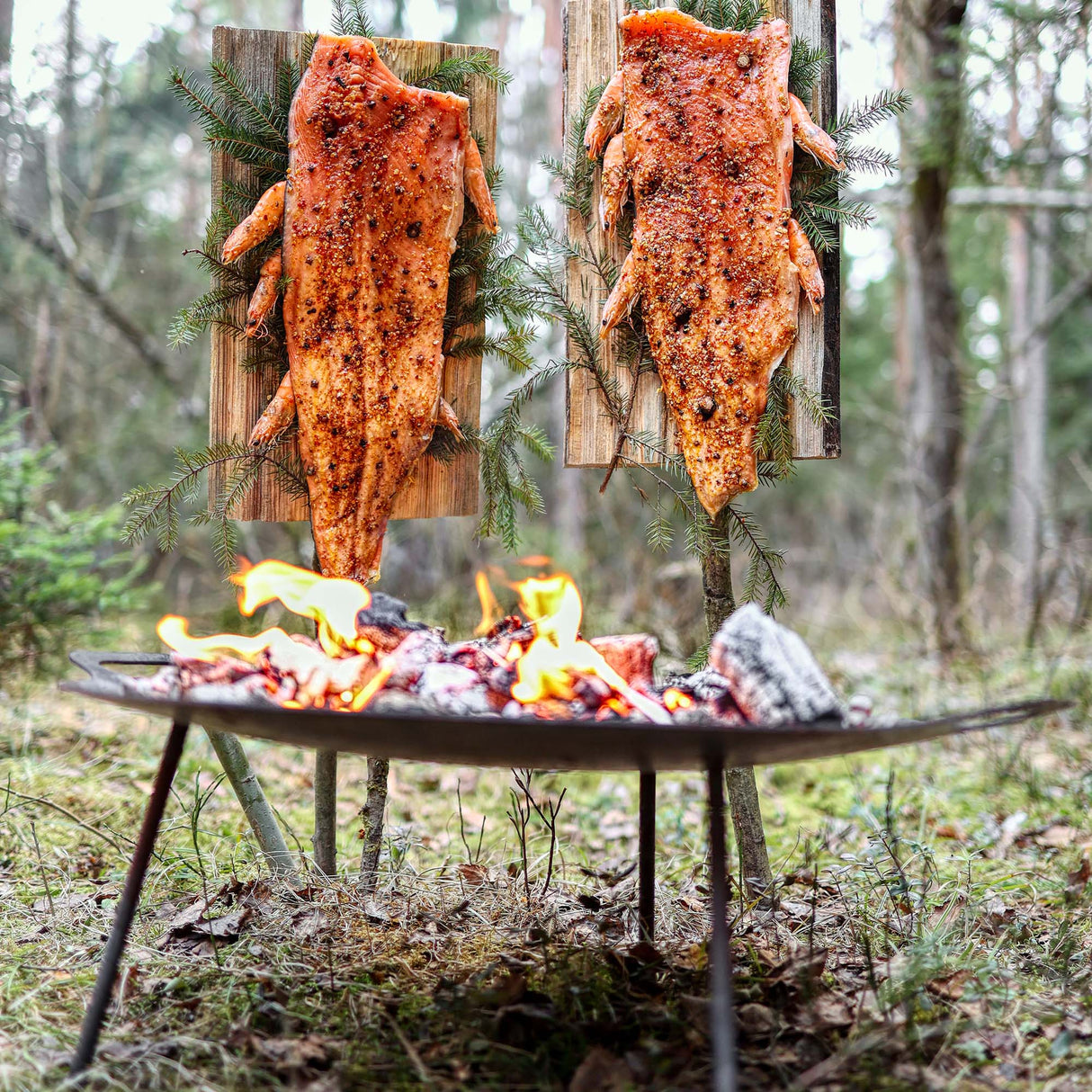 Petromax Skottel Braai & Fire Bowl