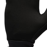 Black Diamond Lightweight ScreenTap Fleece Gloves