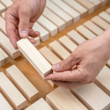 BeaverCraft Basswood Carving Blocks, Set of 12