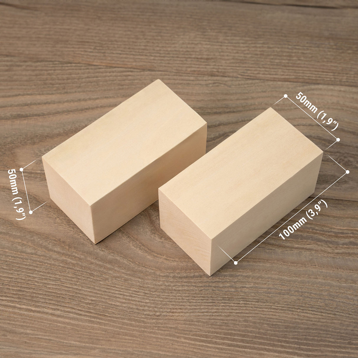 BeaverCraft Family Fun Mushroom Carving Kit, Set for 2 Carvers