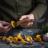 Opinel No. 8 Oak Mushroom Knife with Sheath & Gift Box