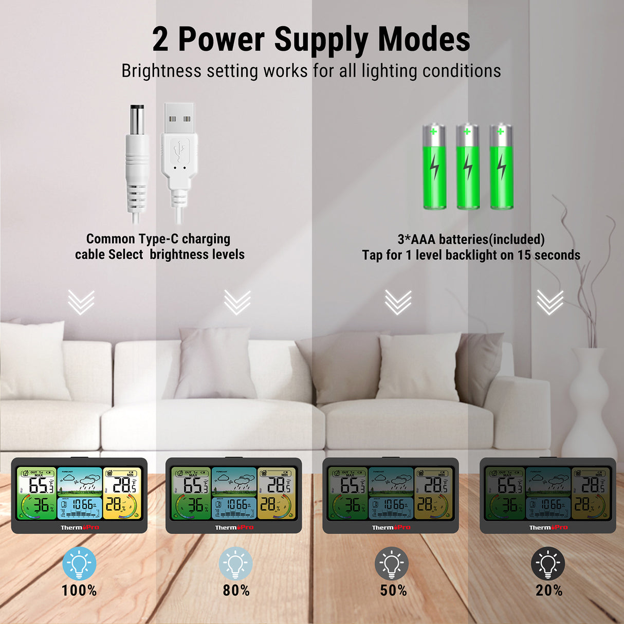 ThermoPro Indoor-Outdoor Weather Station